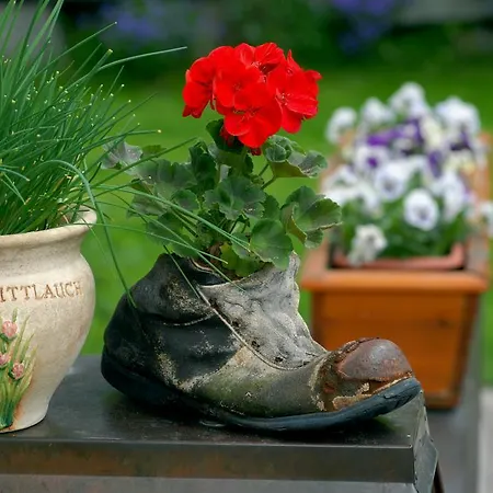 Apartamento Haus Tasser *