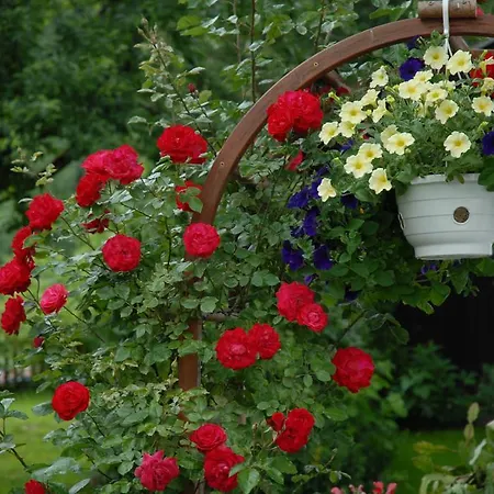 Apartmán Haus Tasser