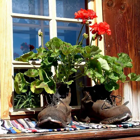 Apartamento Haus Tasser