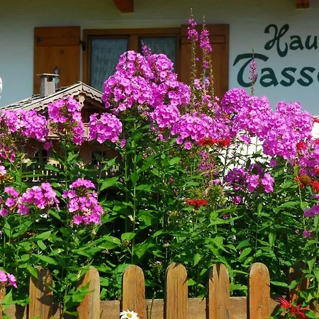Haus Tasser アパート