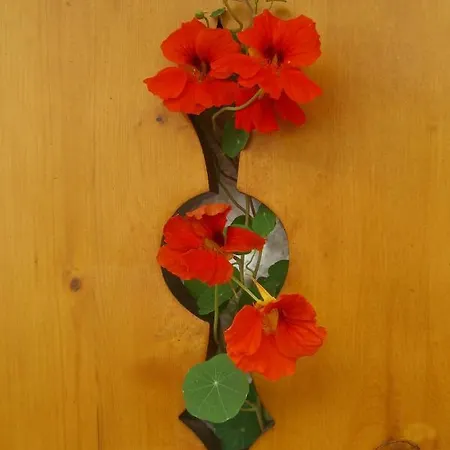 Apartmán Haus Tasser Mayrhofen