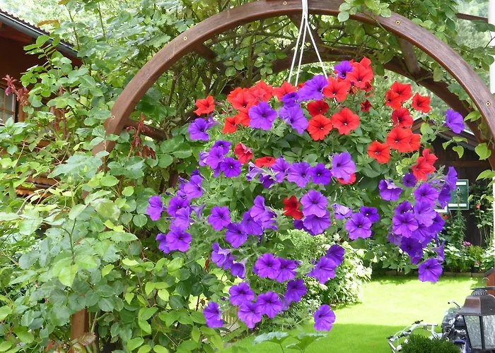 Apartman Haus Tasser