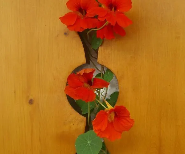 شقة Haus Tasser مايرهوفن